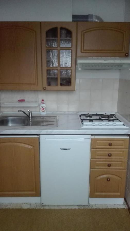 Ubytovani V Apartmanu Mladkov Extérieur photo