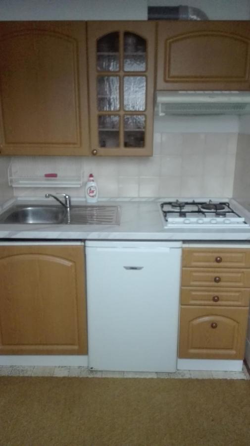 Ubytovani V Apartmanu Mladkov Extérieur photo