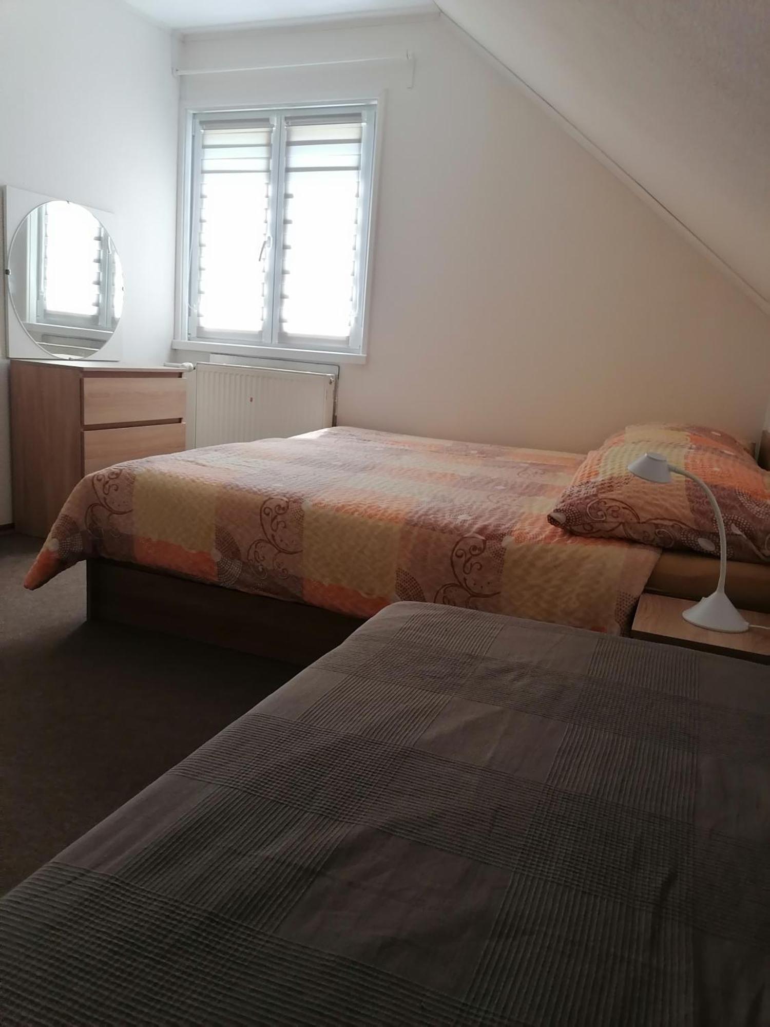 Ubytovani V Apartmanu Mladkov Extérieur photo