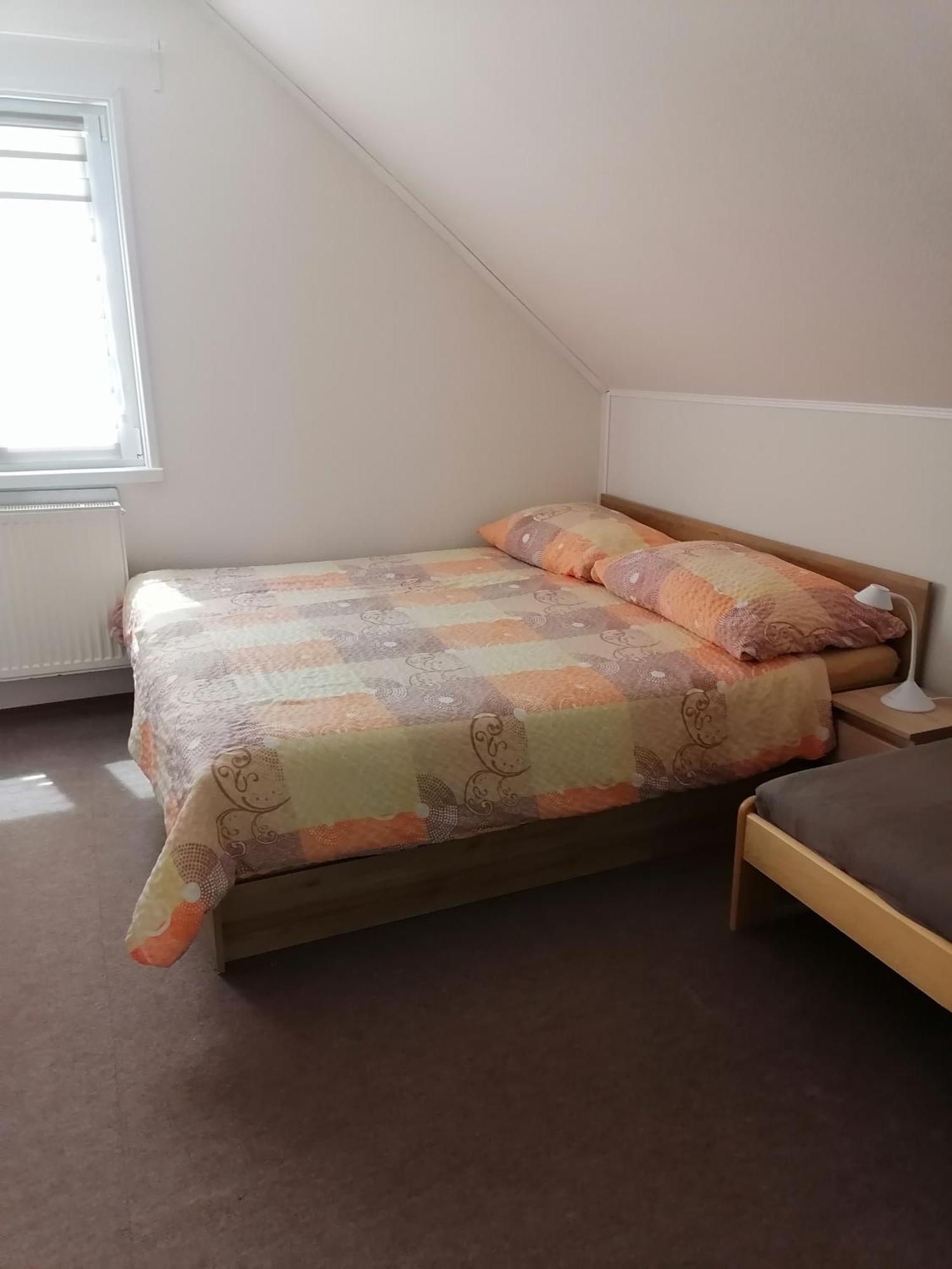 Ubytovani V Apartmanu Mladkov Extérieur photo