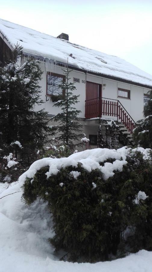 Ubytovani V Apartmanu Mladkov Extérieur photo
